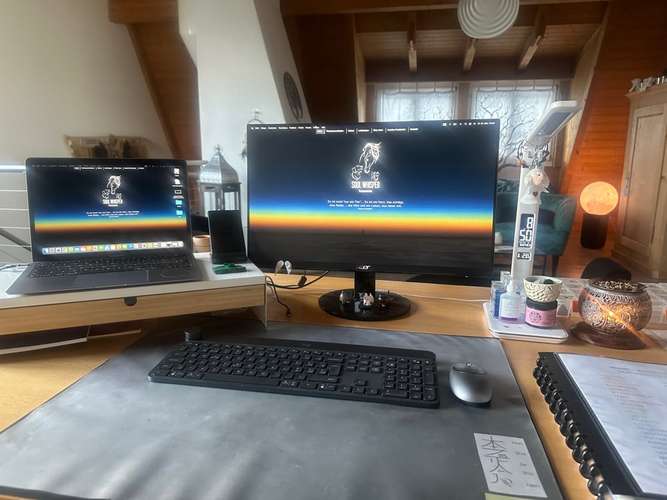 Hundeauslaufgebiet-SOUL-WHISPER-Bild