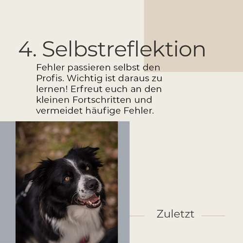 Hundeauslaufgebiet-Calufa Helmer-Bild