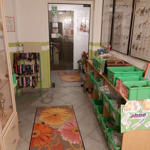 Hundeauslaufgebiet-Fell-issimo Hunde- & Katzensalon-Bild