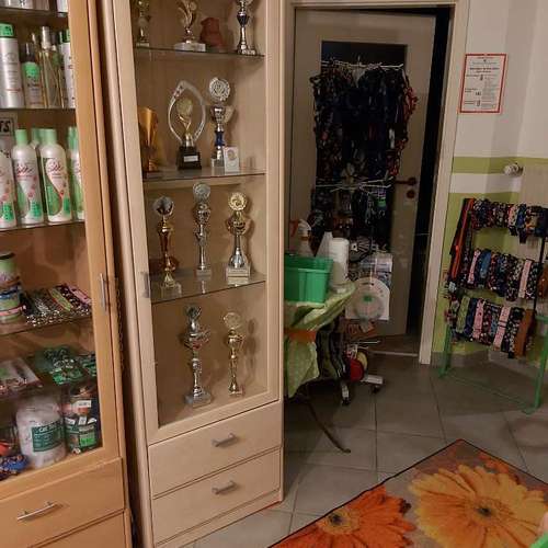 Hundeauslaufgebiet-Fell-issimo Hunde- & Katzensalon-Bild