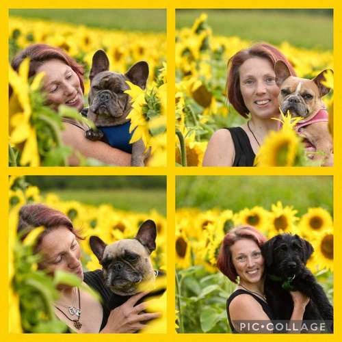 Hundeauslaufgebiet-Fell-issimo Hunde- & Katzensalon-Bild