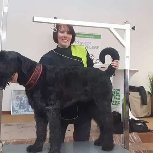 Hundeauslaufgebiet-Fell-issimo Hunde- & Katzensalon-Bild