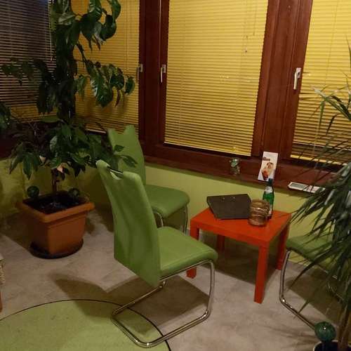 Hundeauslaufgebiet-Fell-issimo Hunde- & Katzensalon-Bild