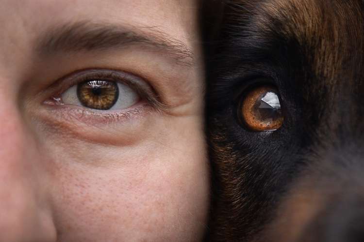 Hundeauslaufgebiet-Hundefotografin München-Bild