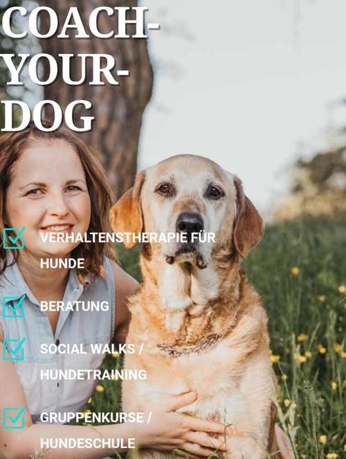 Hundeauslaufgebiet-Coach-Your-Dog-Bild