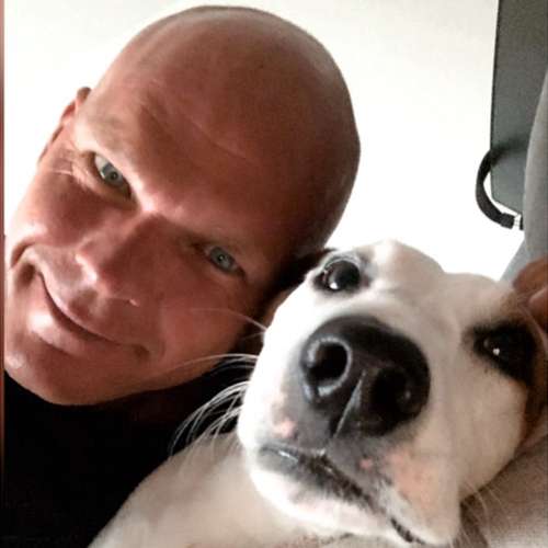 Hundeauslaufgebiet-Pits-Hundeschule -Bild