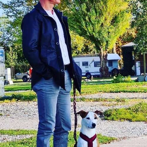 Hundeauslaufgebiet-Pits-Hundeschule -Bild