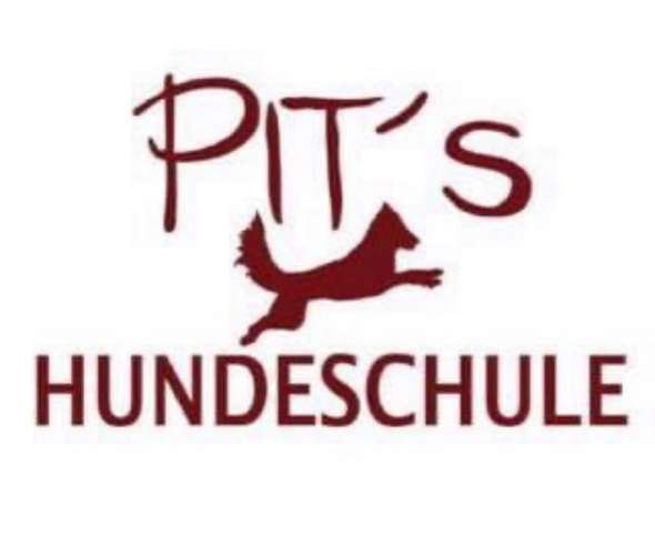 Hundeauslaufgebiet-Pits-Hundeschule -Bild