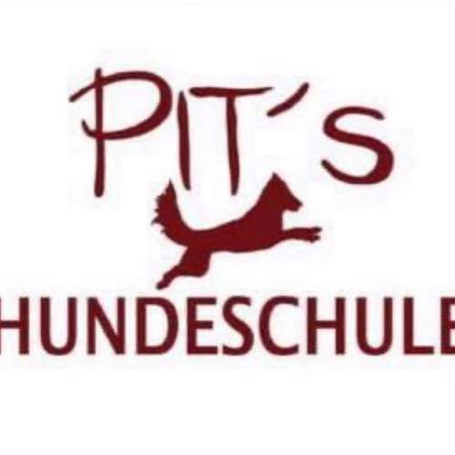 Hundeauslaufgebiet-Pits-Hundeschule -Bild