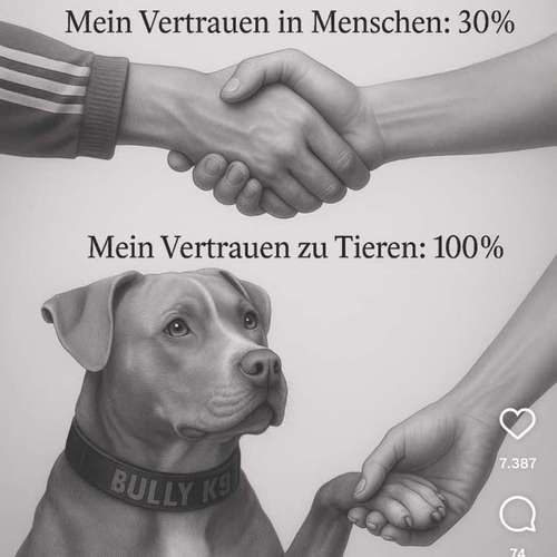 Hundeauslaufgebiet-Kleintierpraxis Dr. med. vet. Susanne Sommer-Bild