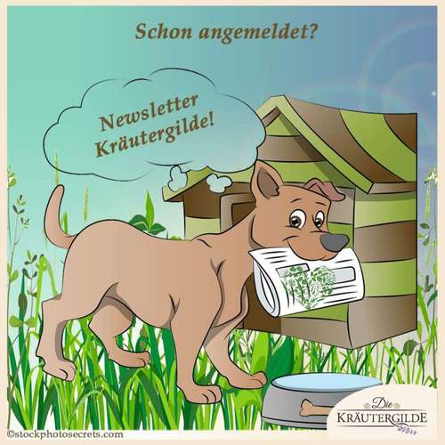 Hundeauslaufgebiet-Die Kräutergilde GmbH-Bild