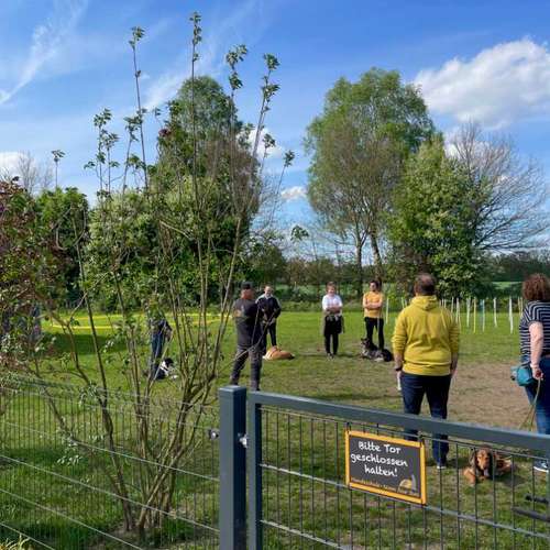 Hundeauslaufgebiet-Hundeschule • Team four two-Bild