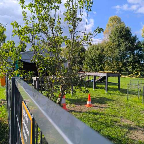 Hundeauslaufgebiet-Hundeschule • Team four two-Bild