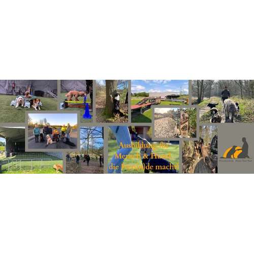 Hundeauslaufgebiet-Hundeschule • Team four two-Bild