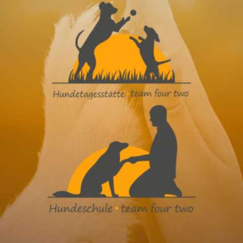 Hundeauslaufgebiet-Hundeschule • Team four two-Bild