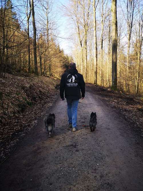 Hundeauslaufgebiet-Hundeschule Leinenlos - Maik Peter-Bild