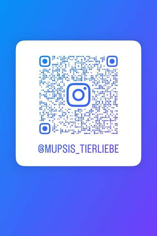 Hundeauslaufgebiet-Nina Kolland-Bild