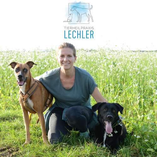 Hundeauslaufgebiet-Tierheilpraxis u.-physiotherapie Lechler-Bild