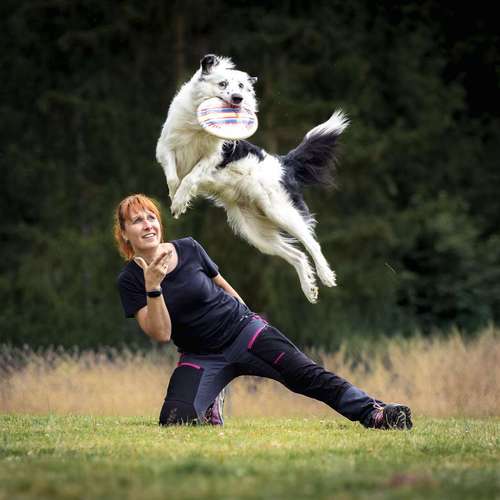 Hundeauslaufgebiet-Brown Eyes Fotografie-Bild