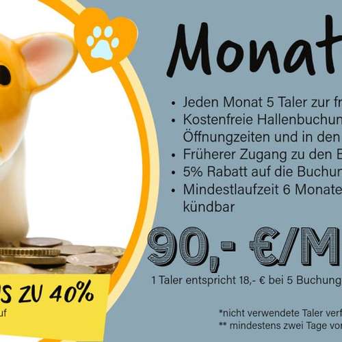 Hundeauslaufgebiet-Hundeschule Schnüffelnase-Bild