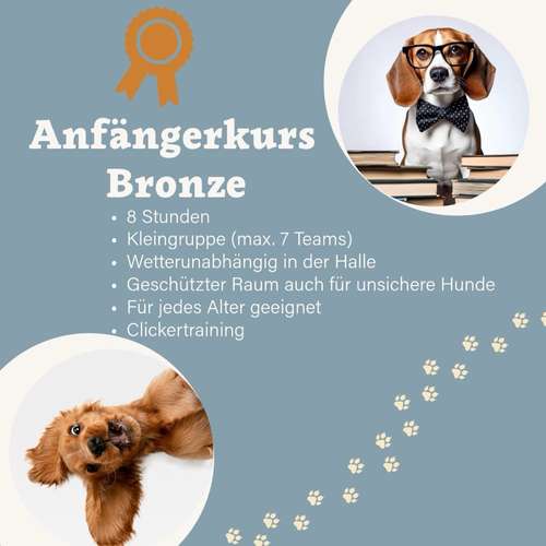 Hundeauslaufgebiet-Hundeschule Schnüffelnase-Bild