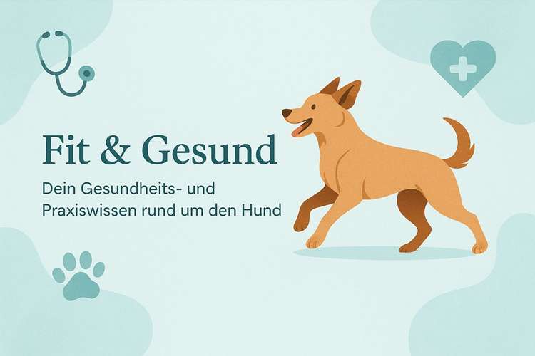 Hundeauslaufgebiet-EHH Otten - Erste Hilfe&Hundegesundheit-Bild