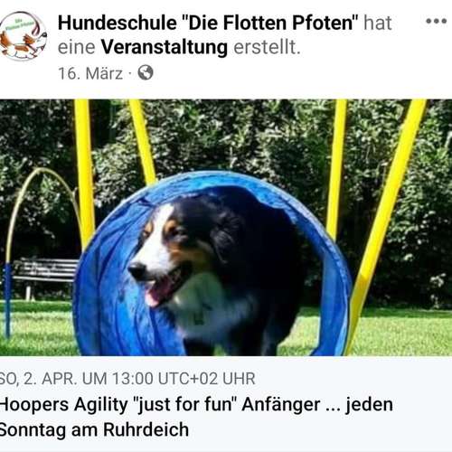 Hundeauslaufgebiet-Die Flotten Pfoten-Bild