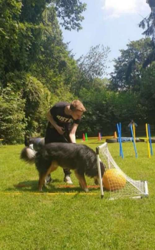 Hundeauslaufgebiet-Die Flotten Pfoten-Bild