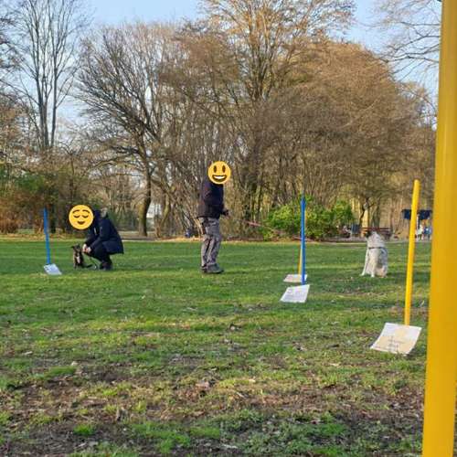 Hundeauslaufgebiet-Die Flotten Pfoten-Bild