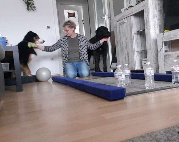 Hundeauslaufgebiet-Die Flotten Pfoten-Bild