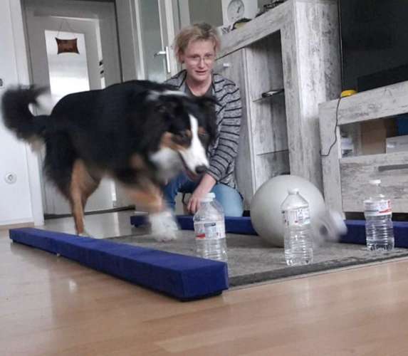 Hundeauslaufgebiet-Die Flotten Pfoten-Bild