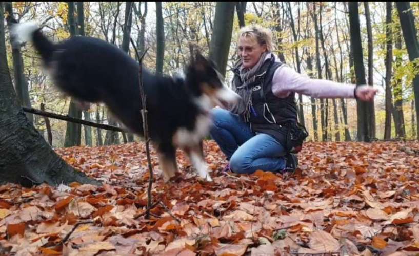 Hundeauslaufgebiet-Die Flotten Pfoten-Bild