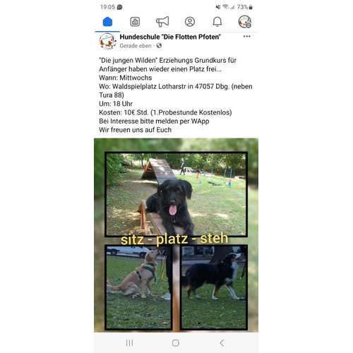 Hundeauslaufgebiet-Die Flotten Pfoten-Bild