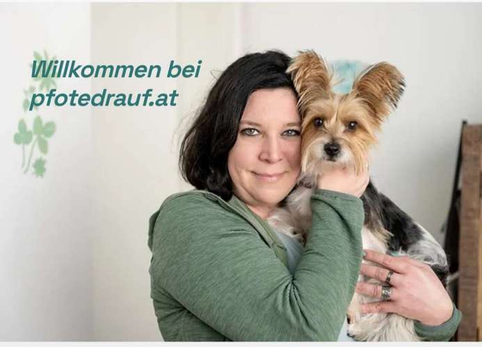 Hundeauslaufgebiet-pfotedrauf.at-Bild