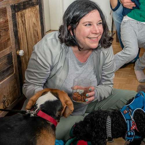 Hundeauslaufgebiet-pfotedrauf.at-Bild