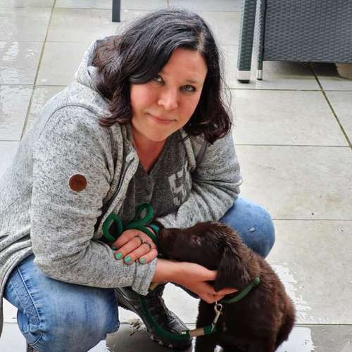 Hundeauslaufgebiet-pfotedrauf.at-Bild