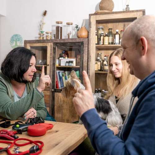Hundeauslaufgebiet-pfotedrauf.at-Bild