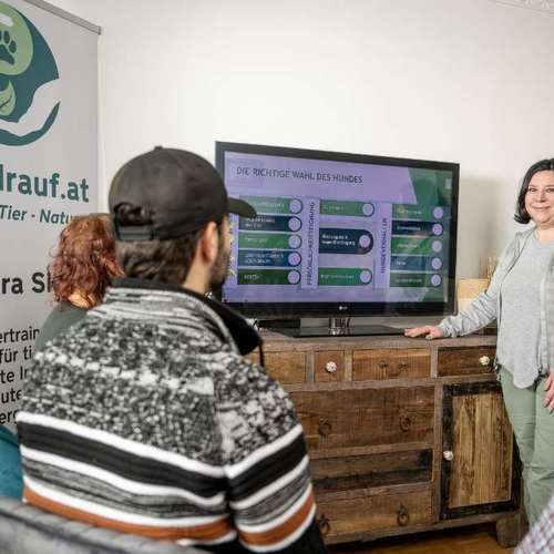 Hundeauslaufgebiet-pfotedrauf.at-Bild