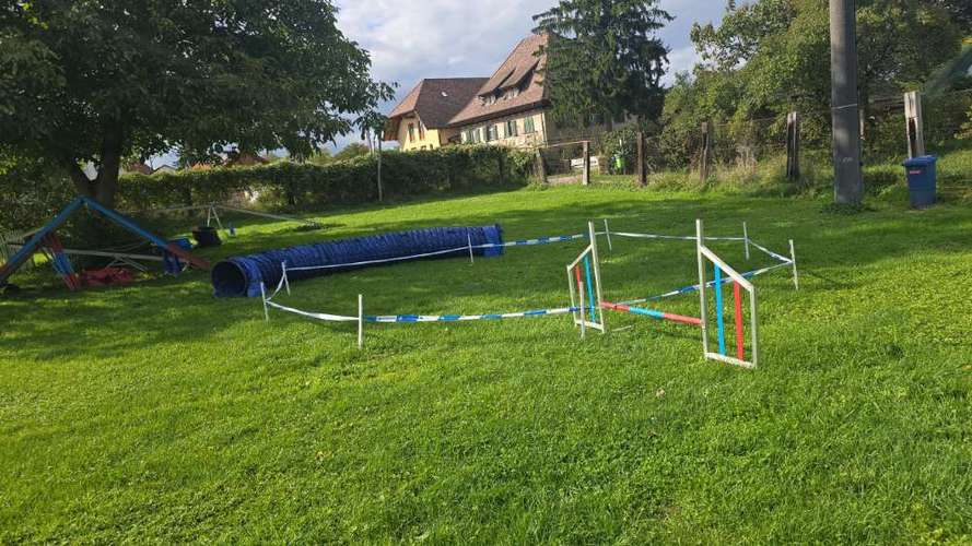 Hundeauslaufgebiet-Hundeschule Tuniberg-Pfoten-Bild