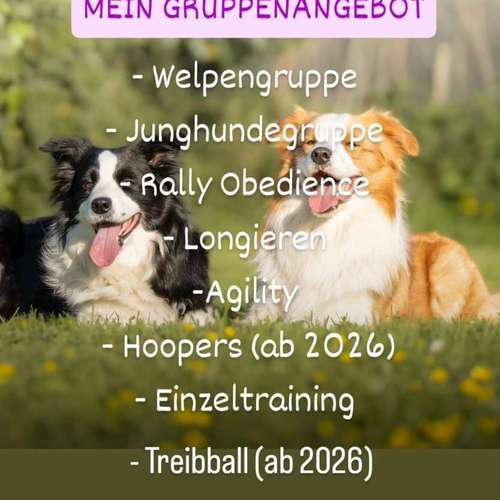 Hundeauslaufgebiet-Hundeschule Tuniberg-Pfoten-Bild
