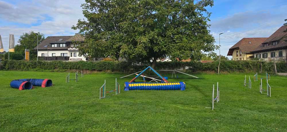 Hundeauslaufgebiet-Hundeschule Tuniberg-Pfoten-Bild