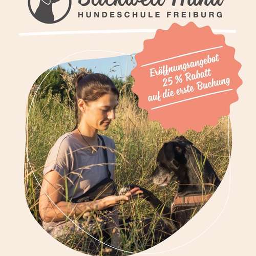 Hundeauslaufgebiet-Blickwelt Hund-Bild