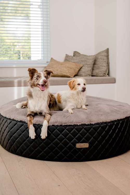 Hundeauslaufgebiet-DOGSTYLER® Ratingen-Bild