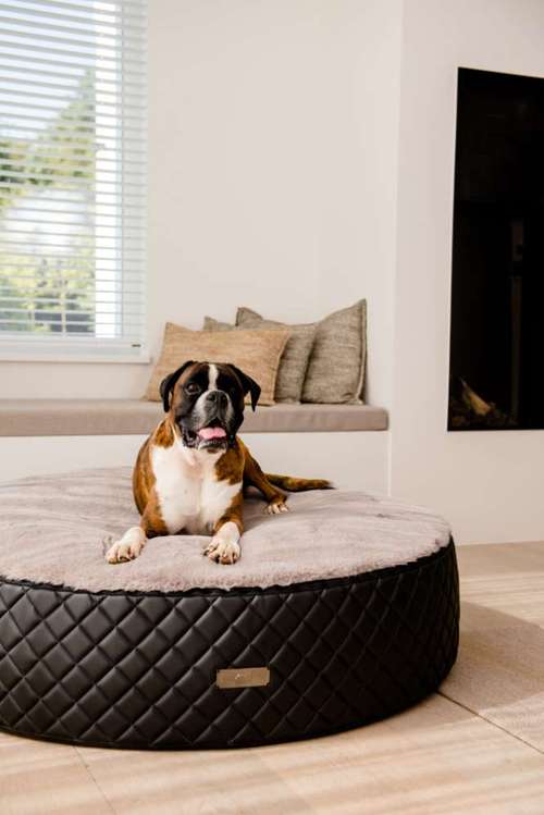 Hundeauslaufgebiet-DOGSTYLER® Ratingen-Bild