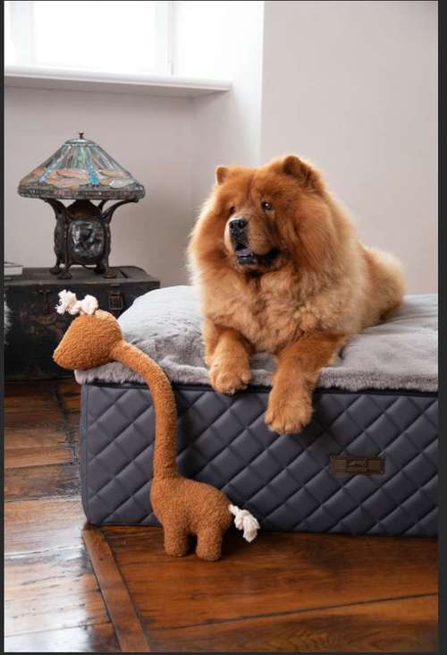 Hundeauslaufgebiet-DOGSTYLER® Ratingen-Bild