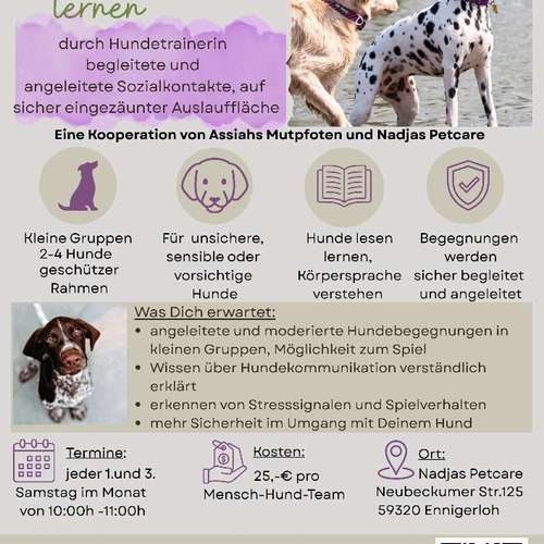 Hundeauslaufgebiet-Assiahs Mutpfoten, Anke König-Gabler-Bild