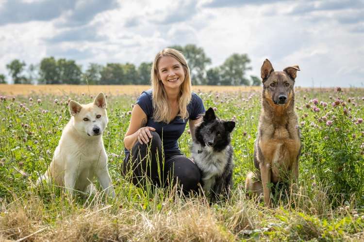 Hundeauslaufgebiet-marburghund-Bild