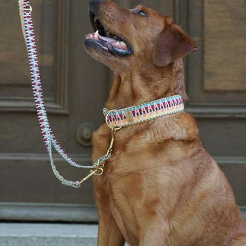 Hundeauslaufgebiet-EcoDoggo-Bild