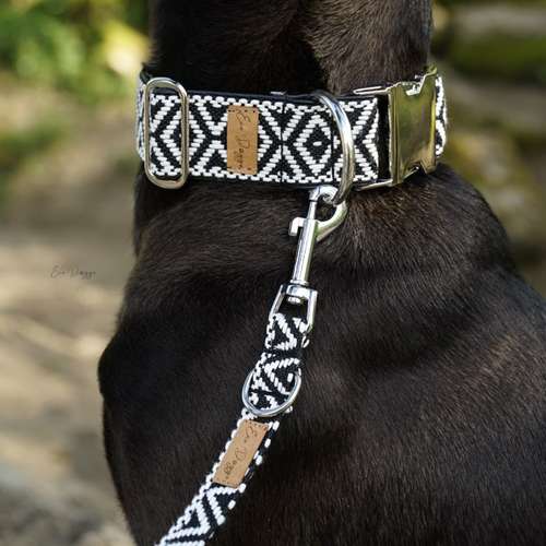 Hundeauslaufgebiet-EcoDoggo-Bild