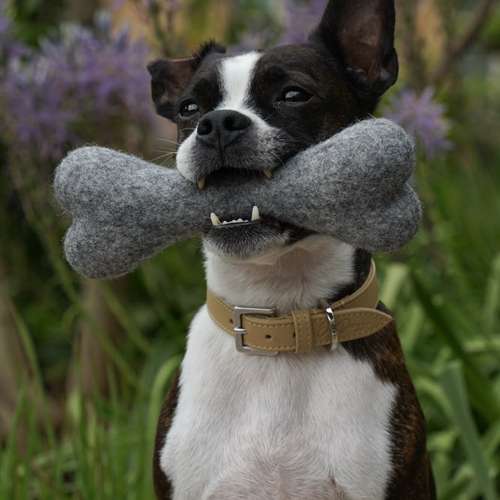 Hundeauslaufgebiet-EcoDoggo-Bild
